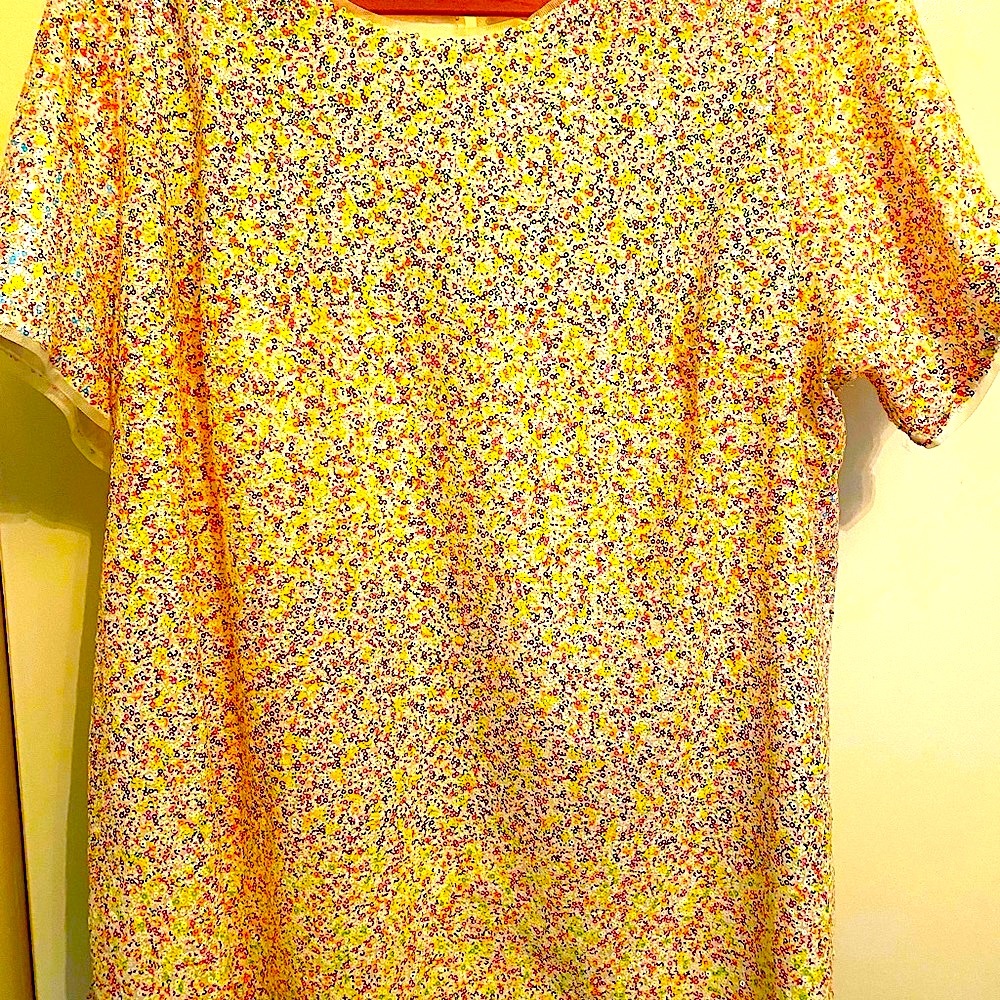 Beautiful Sequins Adorn This Top by Isaac Saacmizrahi  1X lace Neckline